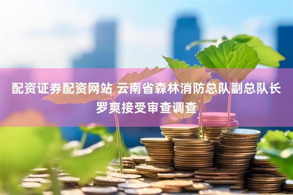 配资证券配资网站 云南省森林消防总队副总队长罗爽接受审查调查